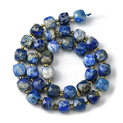 Natural Lapis Lazuli Beads Strands&nbsp;G-Q010-A03-01