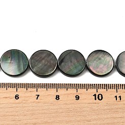 Natural Black Lip Shell Beads Strands&nbsp;BSHE-D300-05-14mm