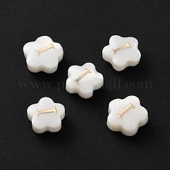 Natural White Shell Flower Beads&nbsp;BSHE-WH0020-01I