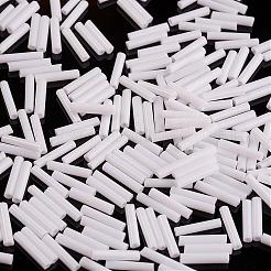 Glass Bugle Beads&nbsp;SEED-E001-12mm-41#