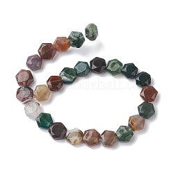 Natural Indian Agate Beads Strands&nbsp;G-K359-C14-01