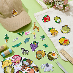 2 Sets 2 Style Fruit and Plants Theme Polyester Computerized Embroidery Iron on/Sew on Patches&nbsp;PATC-WR0001-09