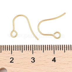 316 Surgical Stainless Steel Earring Hooks&nbsp;STAS-A056-11G-B