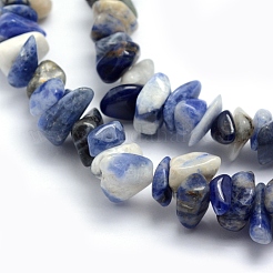 Natural Sodalite Beads Strands&nbsp;G-P332-21