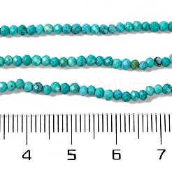 Natural Howlite Beads Strands&nbsp;G-H025-03A-02