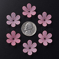Transparent Acrylic Beads&nbsp;LS-MACR-S373-107-D05