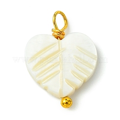 5pcs 5 Styles Natural Shell Pendants&nbsp;PALLOY-JF03071