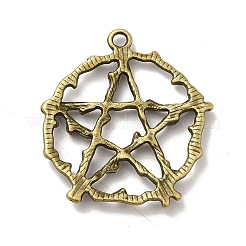 Alloy Pendant&nbsp;FIND-C014-02AB