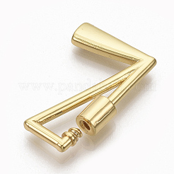 Brass Screw Carabiner Lock Charms&nbsp;LS-KK-T046-001G-L-NF