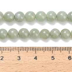 Natural Myanmar Jade/Burmese Jade Beads Strands&nbsp;G-L642-B11-6mm