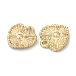 Alloy Pendants&nbsp;FIND-Z099-08G