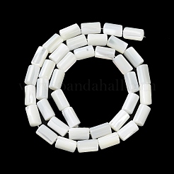 Natural Trochus Shell Beads Strands&nbsp;X-BSHE-Z003-18