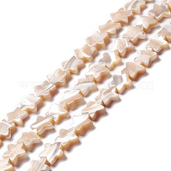 Natural Trochid Shell/Trochus Shell Beads&nbsp;SSHEL-O001-25C-01