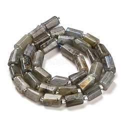 Natural Labradorite Beads Strands&nbsp;G-G068-A10-01