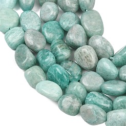 Natural Amazonite Beads Strands&nbsp;G-P606-A01-01