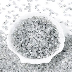 Frosted Glass Seed Beads&nbsp;SEED-N012-01L