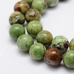 Natural Green Opal Beads Strands&nbsp;G-K209-04B-10mm