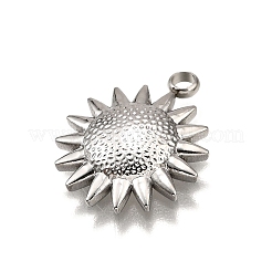 304 Stainless Steel Pendants&nbsp;STAS-M116-09P