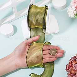 Polyester Mesh Ribbon&nbsp;SRIB-TAC0002-29A-02