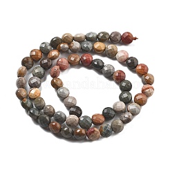 Natural Ocean Jasper Beads Strands&nbsp;G-C179-A09-02