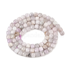Natural Kunzite Beads Strands&nbsp;G-P612-B03-01