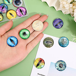 30Pcs 15 Colors Luminous Self Adhesive Glass Eyes Cabochons&nbsp;DIY-CA0006-27B
