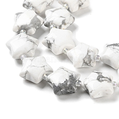 Natural Howlite Beads Strands&nbsp;G-NH0005-006