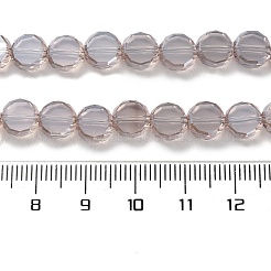 Electroplate Glass Beads Strands&nbsp;EGLA-C010-01A-PL04