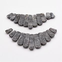 Natural Larvikite Beads Strands&nbsp;G-P298-J01