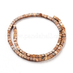Natural Picture Jasper Beads Strands&nbsp;G-F631-K02