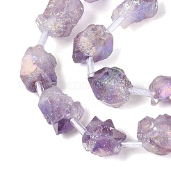 Electroplate Raw Rough Natural Amethyst Beads Strands&nbsp;G-Q610-06F