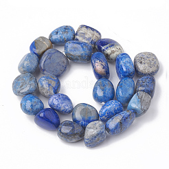 Natural Lapis Lazuli Beads Strands&nbsp;G-S299-89