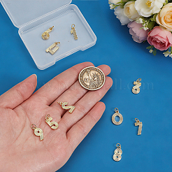 10Pcs 10 Styles Brass Pendants&nbsp;KK-PH0015-42