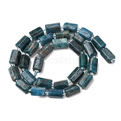 Natural Apatite Beads Strands&nbsp;G-L655-B03-01