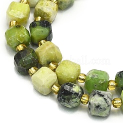 Natural Chrysoprase Beads Strand&nbsp;G-I376-D47-01