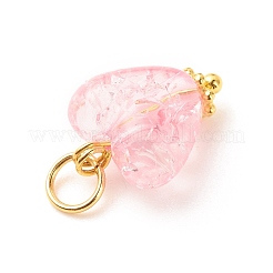 Transparent Acrylic Pendants&nbsp;PALLOY-JF01571