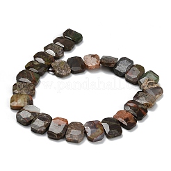 Natural Wealth Stone Beads Strands&nbsp;G-C285-A09-01