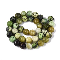 Natural Serpentine Beads Strands&nbsp;G-Q616-07D