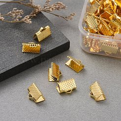 Iron Ribbon Crimp Ends&nbsp;IFIN-YW0001-13G-LF