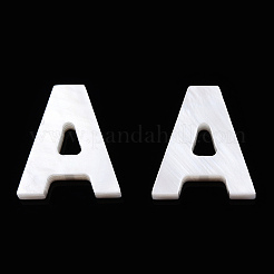 Natural Freshwater Shell Beads&nbsp;SHEL-S278-072A