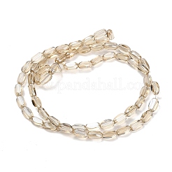 Electroplate Transparent Glass Beads&nbsp;EGLA-H112-01PL-01