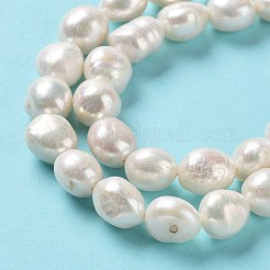 Natural Cultured Freshwater Pearl Beads Strands&nbsp;PEAR-Z002-04