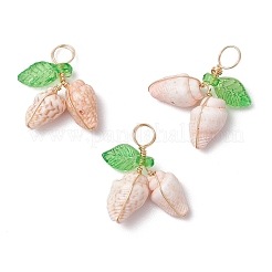 12Pcs 4 Styles Natural Sea Shell Copper Wire Wrapped Pendants&nbsp;PALLOY-JF03611