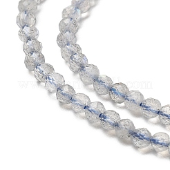Natural Labradorite Beads Strands&nbsp;G-RM241221-A10