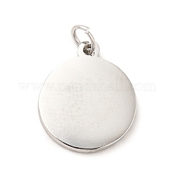 Non-Tarnish 304 Stainless Steel Charms&nbsp;STAS-G295-48P