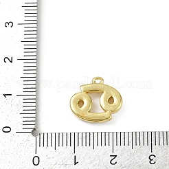 Brass Charms&nbsp;KK-M322-54G-04