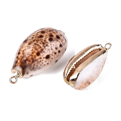 Electroplate Natural Cowrie Shell Pendants&nbsp;SSHEL-Q100-30KCG