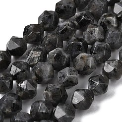Natural Larvikite Beads Strands&nbsp;G-Z119-A32-02