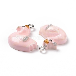 Opaque Resin Pendants&nbsp;RESI-J023-15D