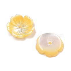 Natural Yellow Shell Carved Beads&nbsp;SSHEL-I026-12A-01